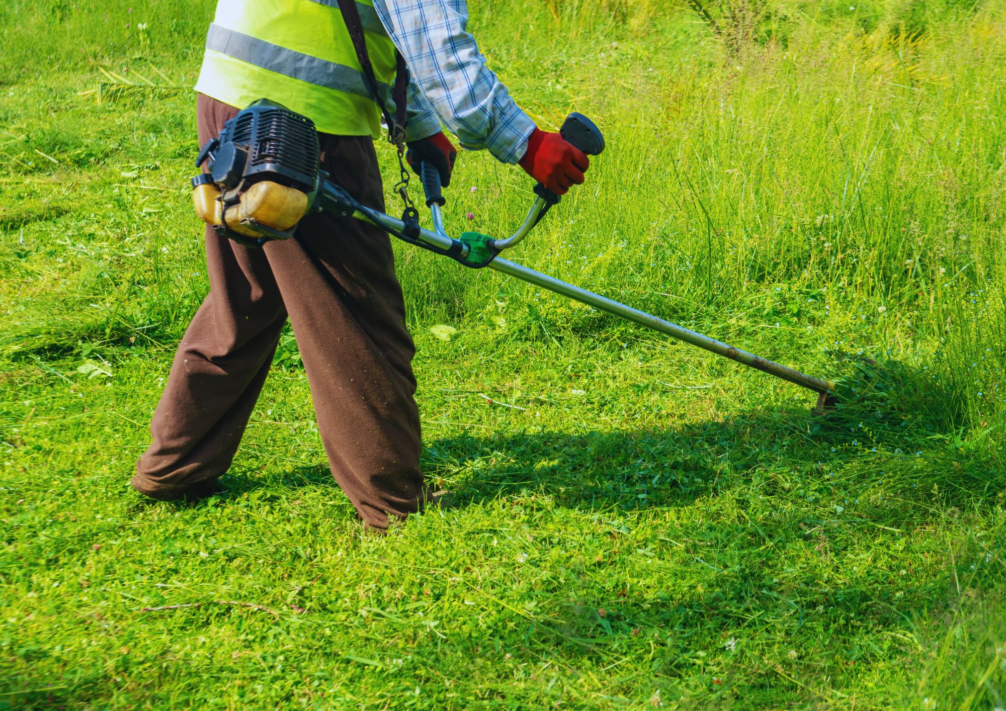 くさかり　管理