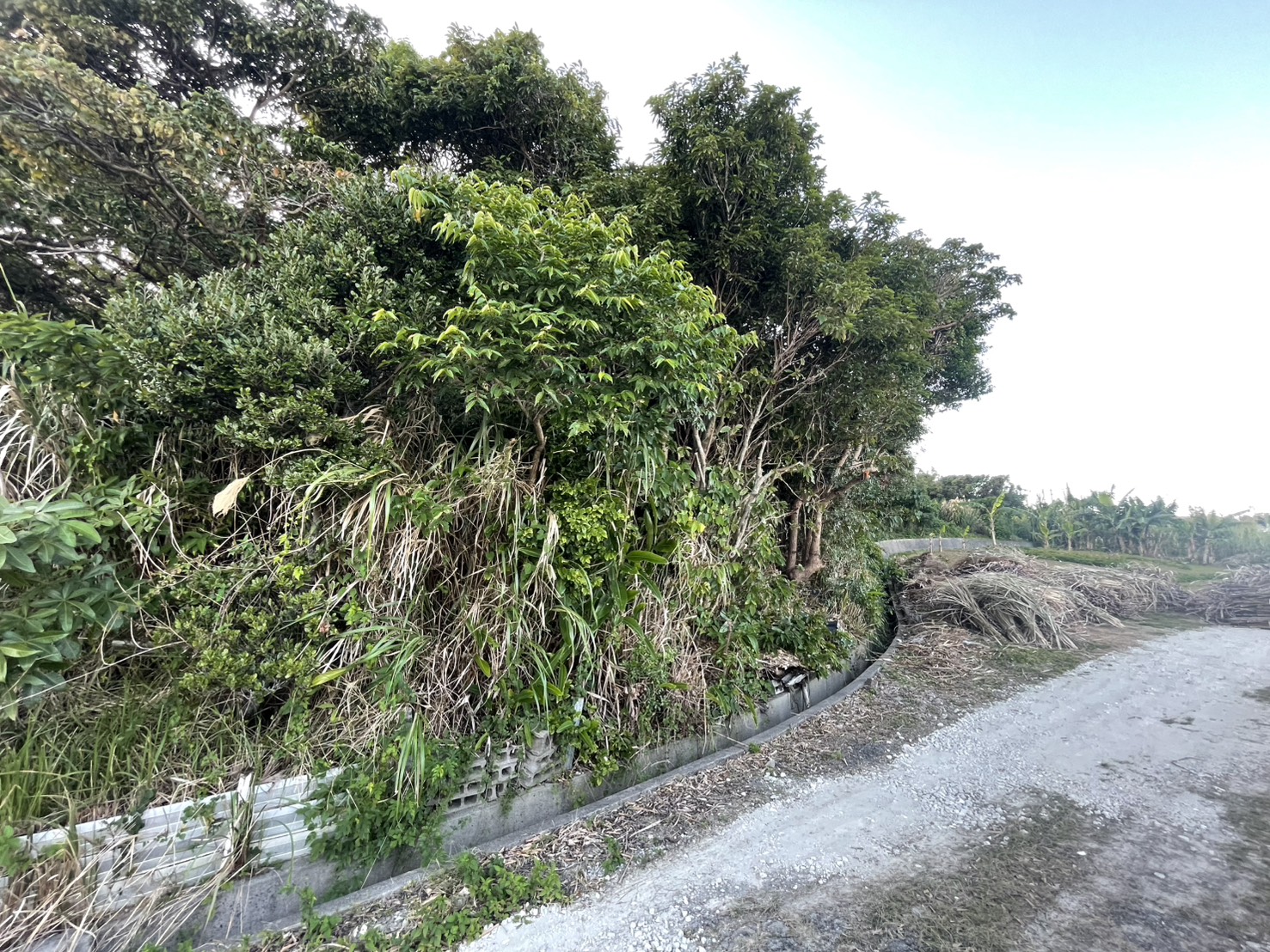 line_oa_chat_260113_091052_group_0