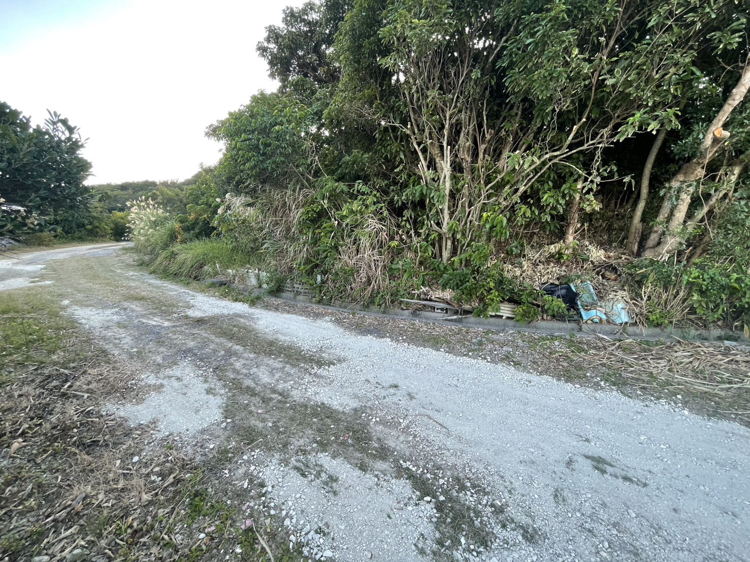 line_oa_chat_260113_091052_group_1