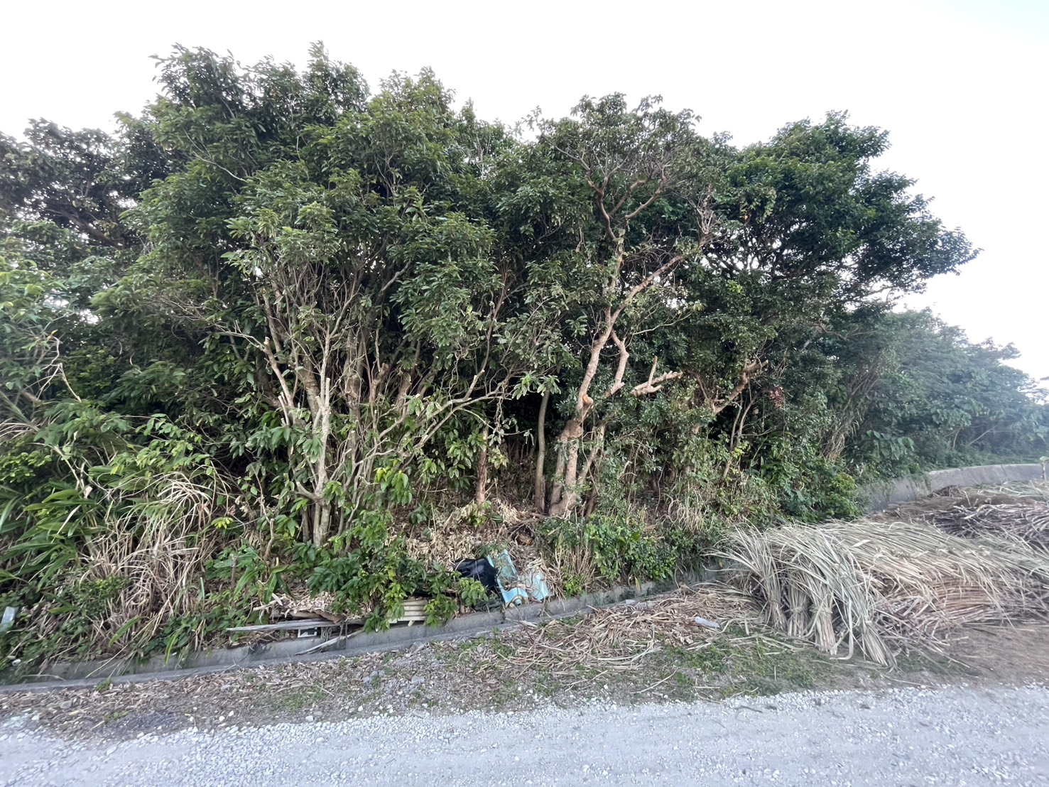 line_oa_chat_260113_091052_group_2